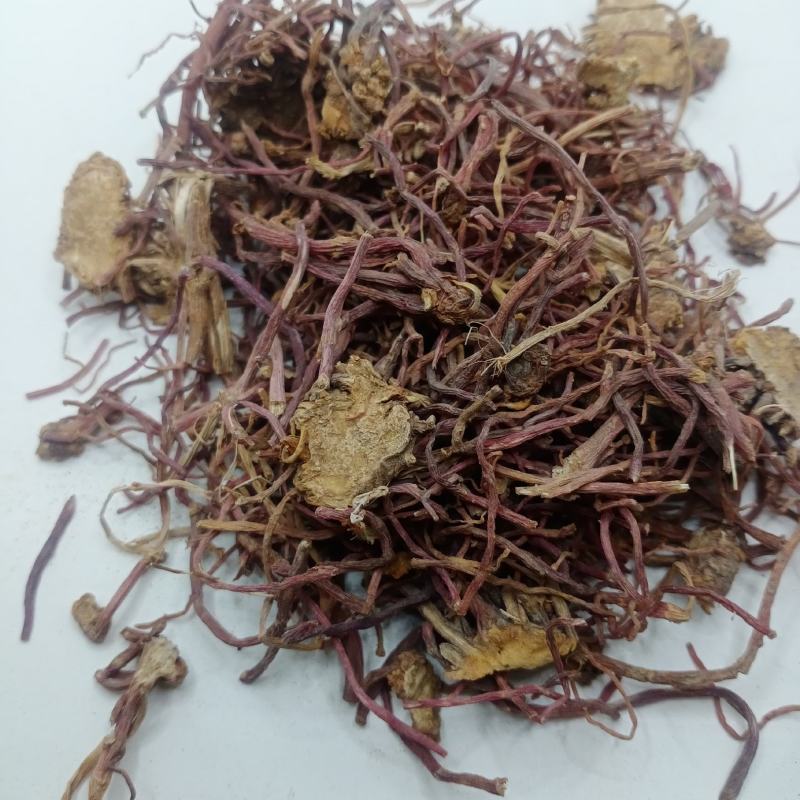 紫苑中药材批发紫苑