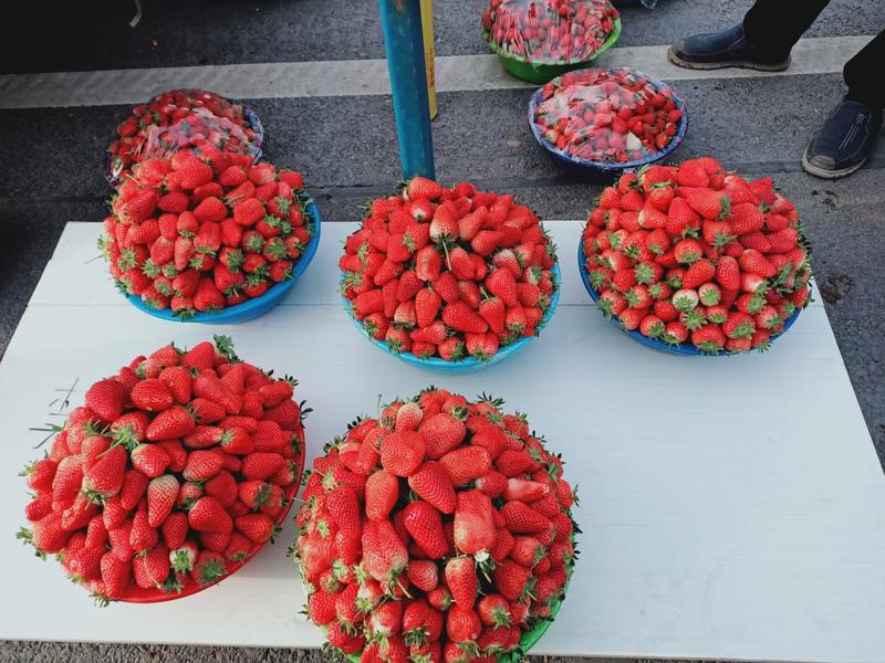 草莓小果20克以下支持电商商场深加工企业