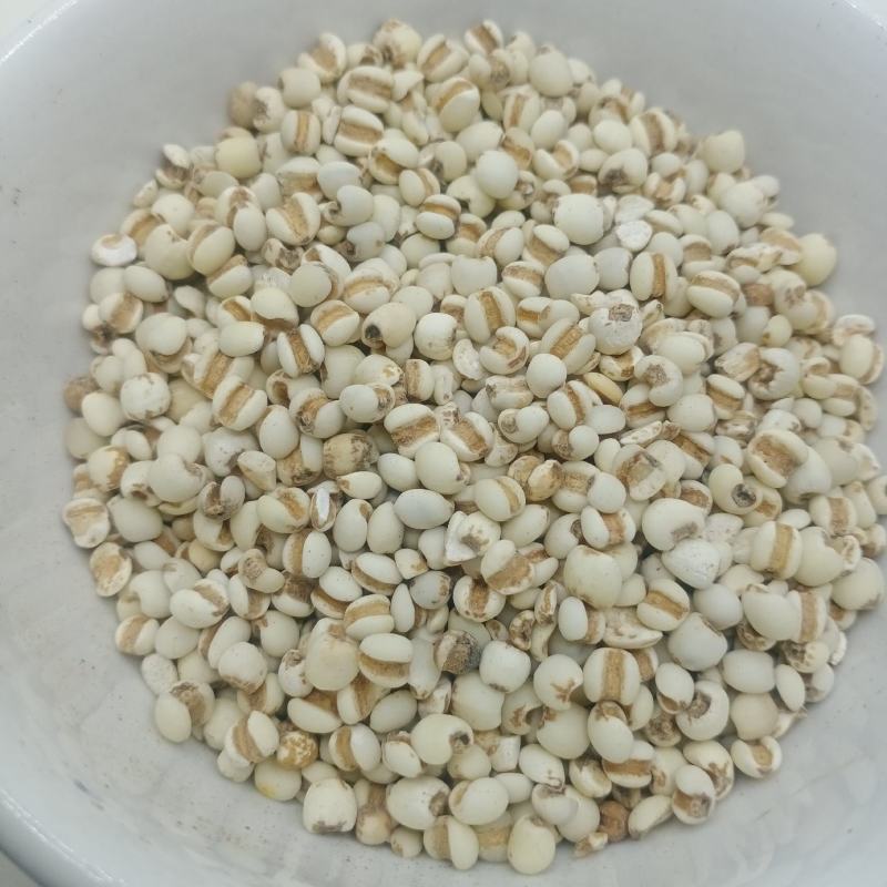 薏米仁中药材批发薏米仁