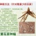 黄花菜种苗黄花菜种子食用基地直发黄花菜根苗金针菜苗根
