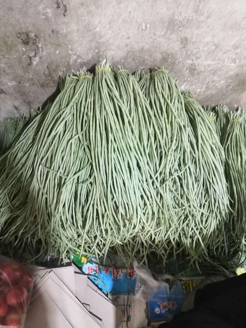 长豆角产地直销大量上市