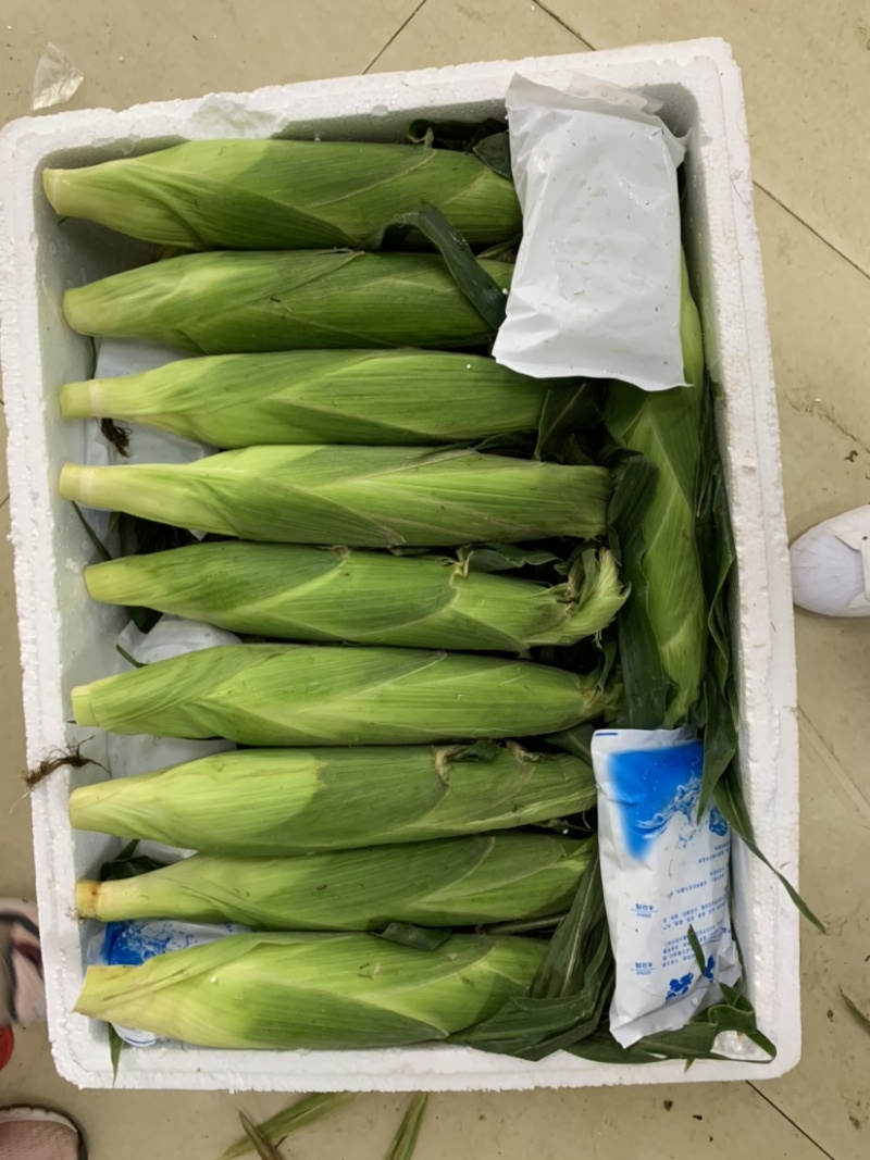 台湾爆浆牛奶玉米水果玉米