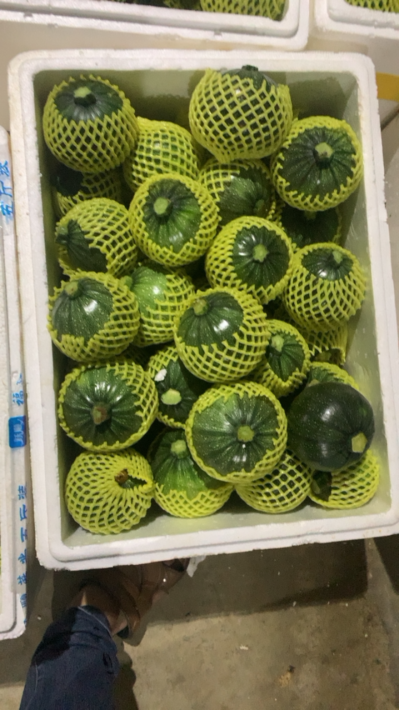 精品小南瓜圆西葫芦诚邀全国批发商超市平台合作