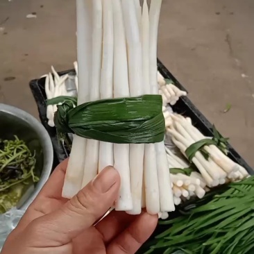 象牙菜草牙野菜特色菜自产自销每天可供应新鲜菜