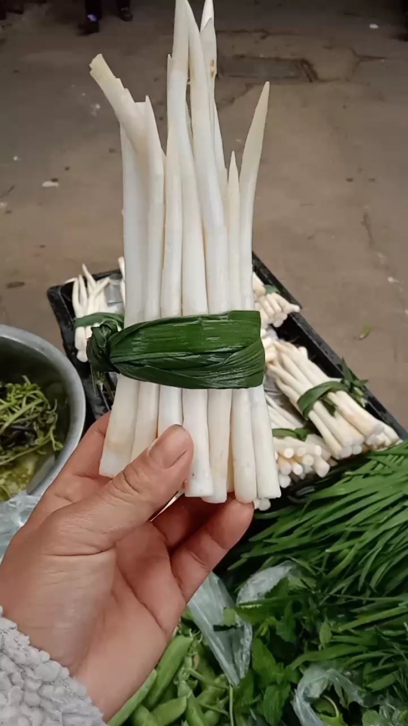 象牙菜草牙野菜特色菜自产自销每天可供应新鲜菜