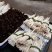 象牙菜草牙野菜特色菜自产自销每天可供应新鲜菜