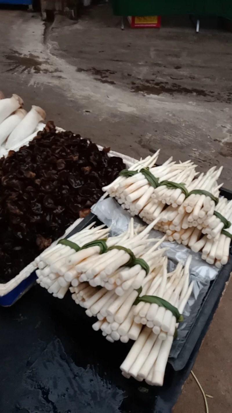 象牙菜草牙野菜特色菜自产自销每天可供应新鲜菜