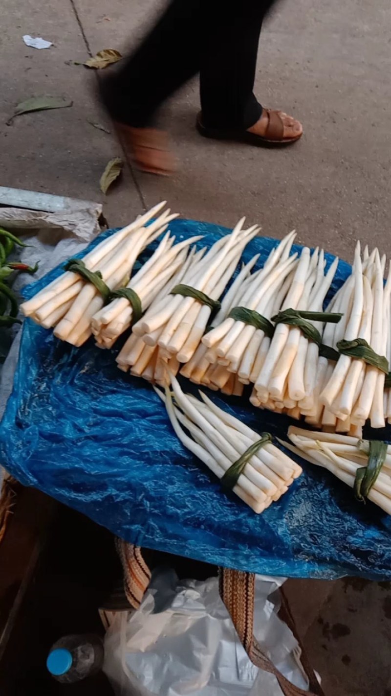 象牙菜草牙野菜特色菜自产自销每天可供应新鲜菜