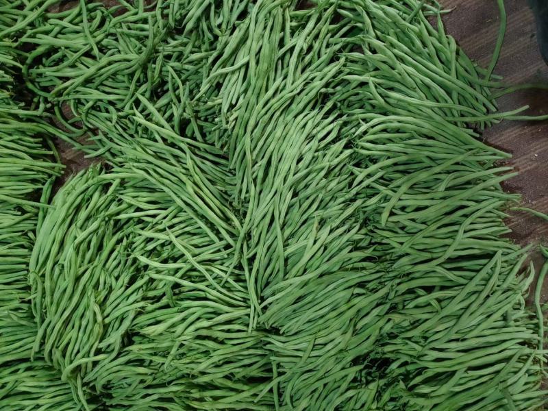 豆角大量上市现货产地直销