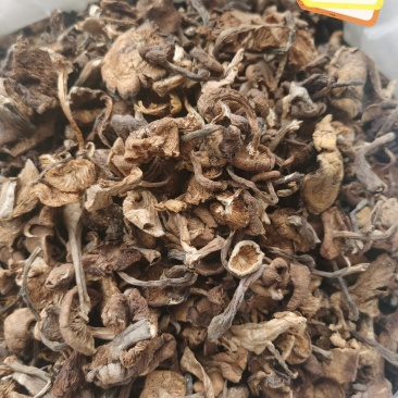 草榛蘑，味道鲜美，价位低，产地直发，没有中间商，