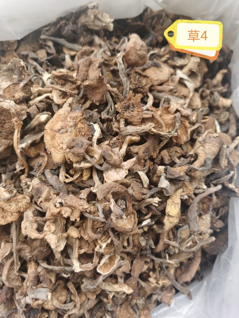 草榛蘑，味道鲜美，价位低，产地直发，没有中间商，
