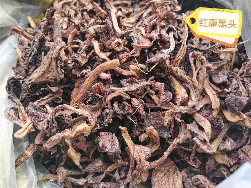 红蘑东北松树伞烘干松蘑鲜干货颜色好无根，红蘑黑头