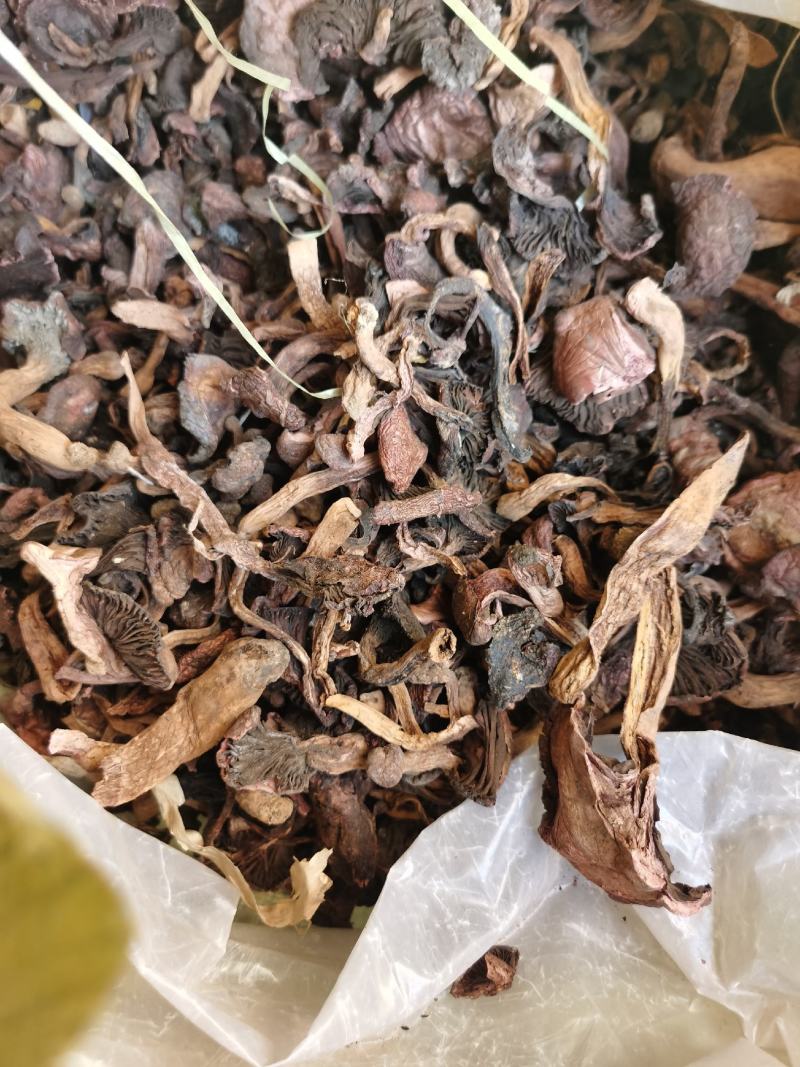 红蘑东北松树伞烘干松蘑鲜干货颜色好无根，红蘑黑头