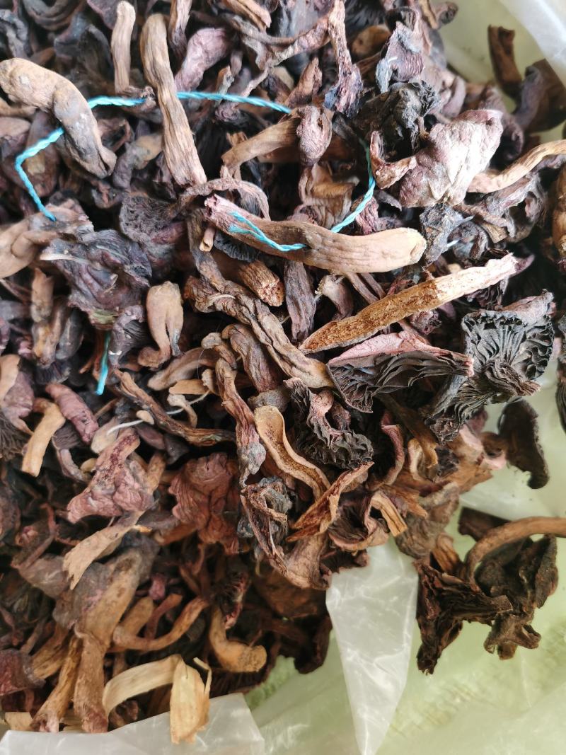 红蘑东北松树伞烘干松蘑鲜干货颜色好无根，红蘑黑头