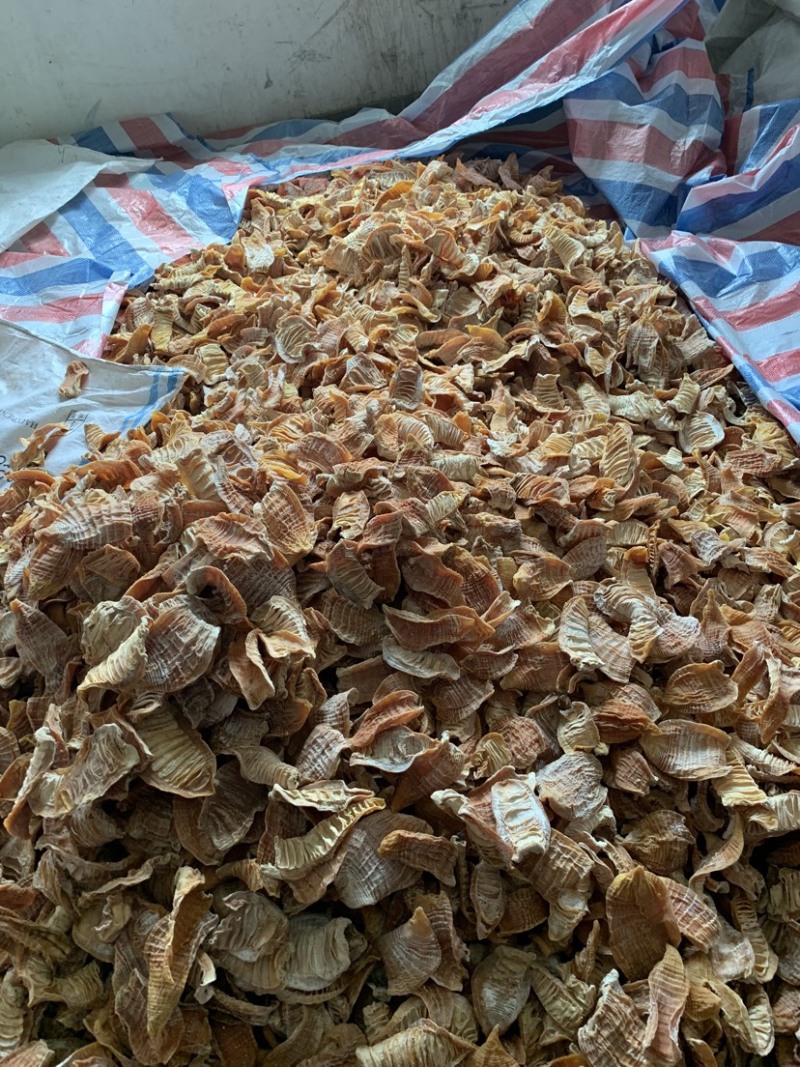 笋尖玉兰片笋干黄泥毛竹笋干赣南优质笋尖短片冬笋片