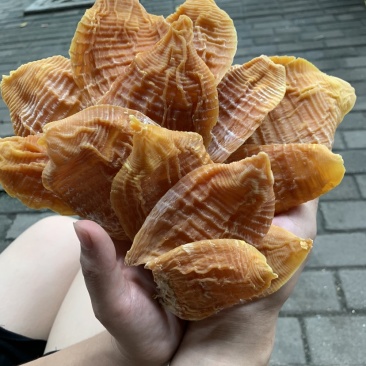 新货江西笋干笋尖玉兰片笋片毛竹笋干中片笋片