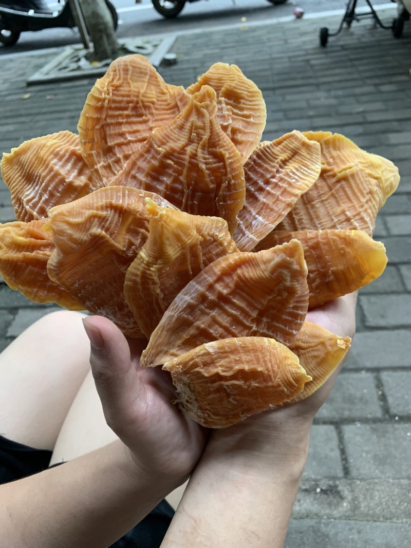 新货江西笋干笋尖玉兰片笋片毛竹笋干中片笋片