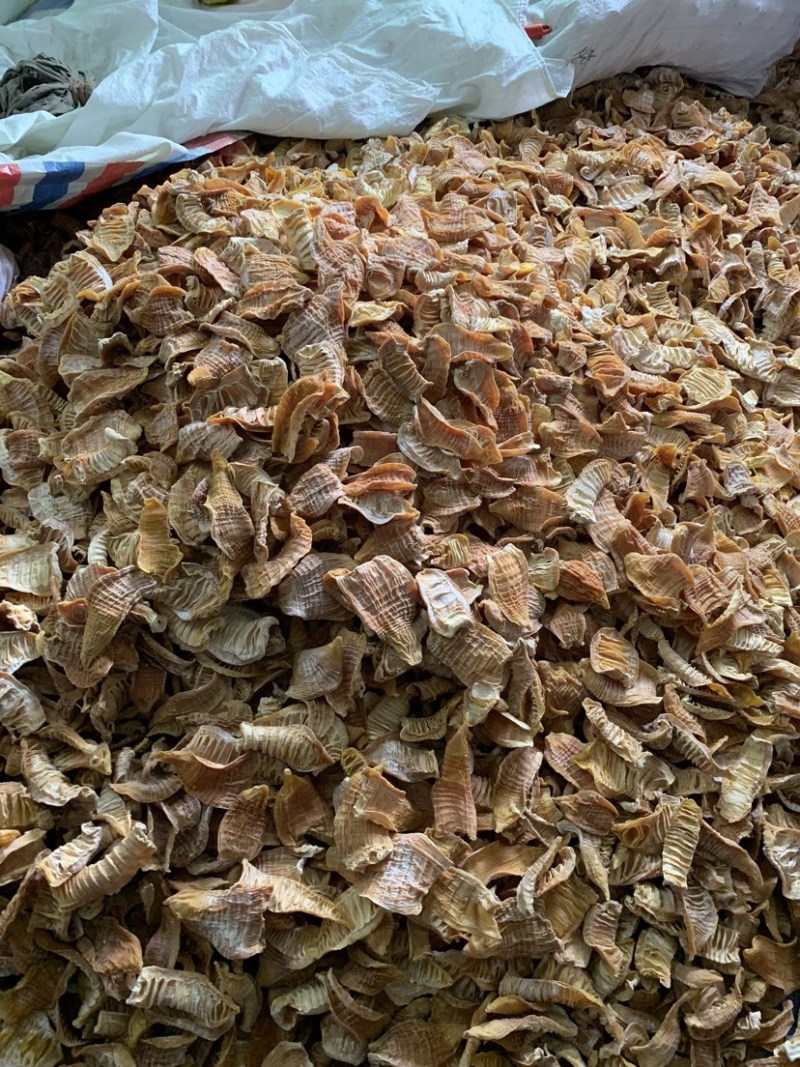 新货江西笋干笋尖玉兰片笋片毛竹笋干中片笋片