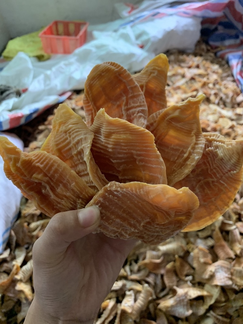 新货江西笋干笋尖玉兰片笋片毛竹笋干中片笋片