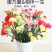 多头康乃馨鲜切花批发云南基地直发颜色齐全代拍代买家庭插花