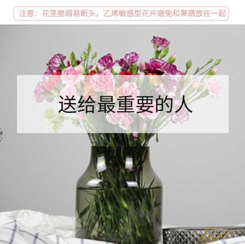 多头康乃馨鲜切花批发云南基地直发颜色齐全代拍代买家庭插花