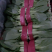 精品油菜上市，货源充足，超市专供，发往各大地区，各大市场