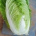 `河南安阳什锦大白菜黄心大白菜质量好价格合理