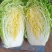 `河南安阳什锦大白菜黄心大白菜质量好价格合理