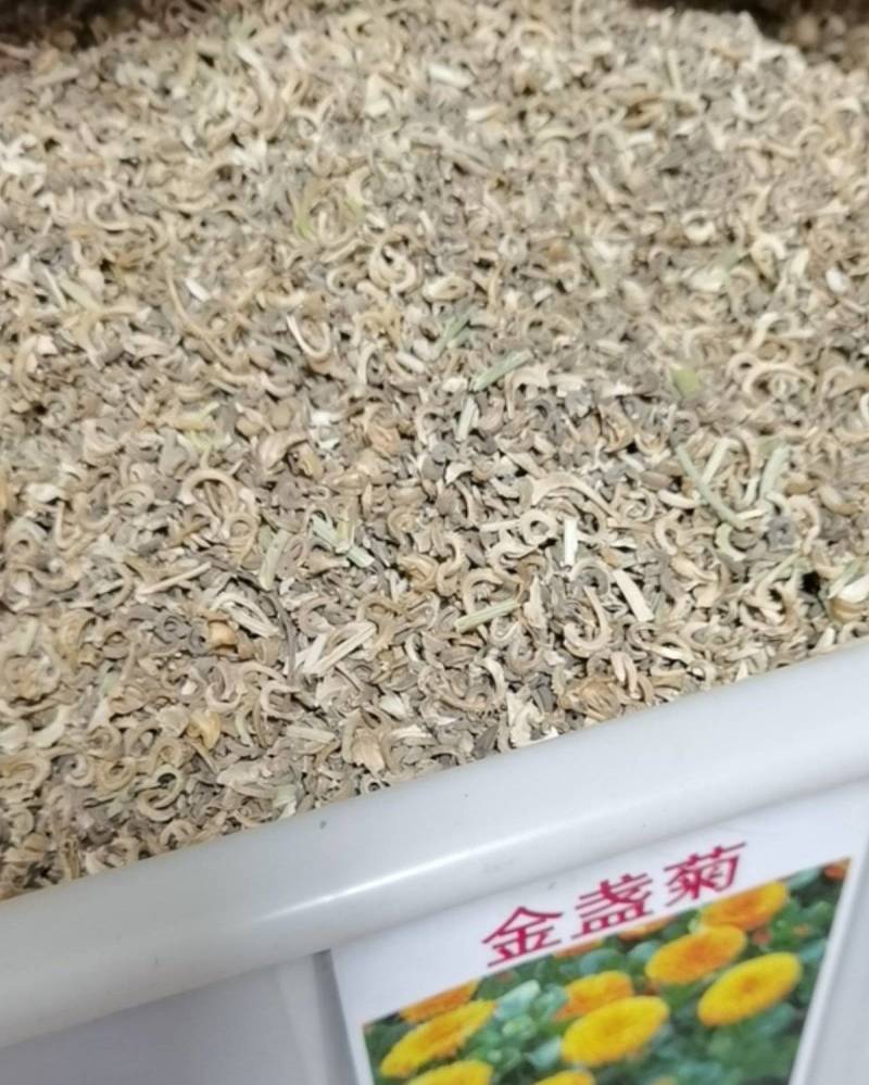 观花种子金盏菊种子金盏花耐寒花种子景观绿化庭院阳台盆栽草