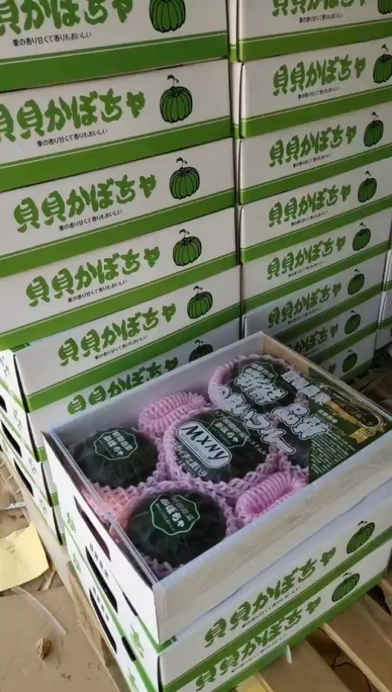 湛江小菠萝一件代发包邮包售后