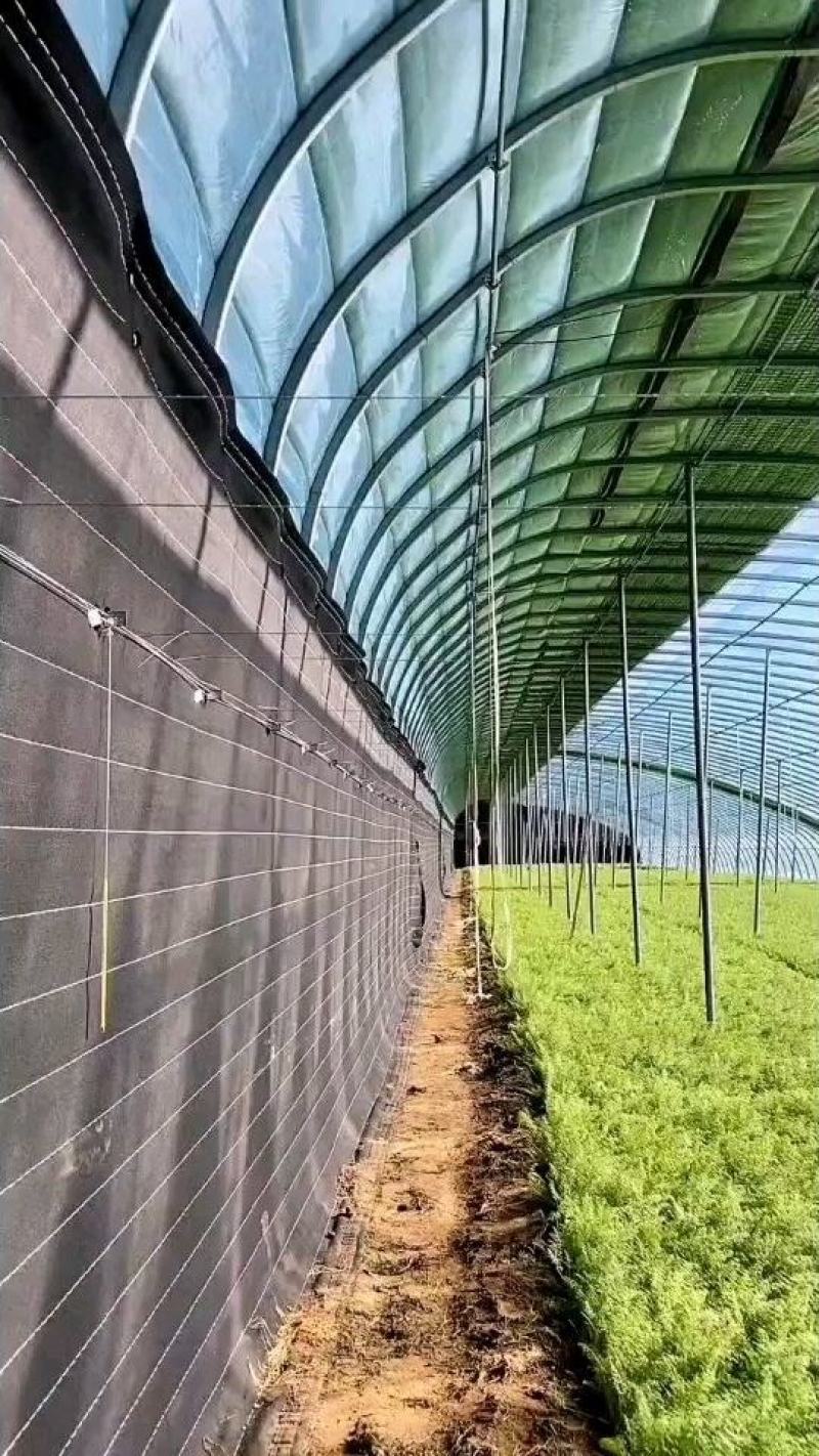 冷棚暖棚养殖棚连栋玻璃温室各种配件！厂家一手货源
