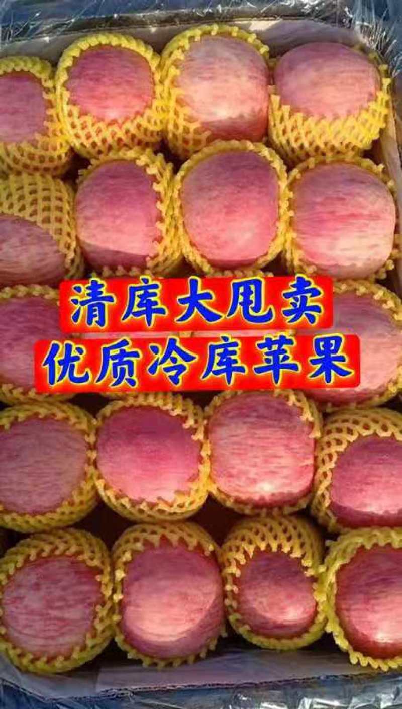 精品红富士苹果冷库冰糖心苹果条纹片红苹果支持电商代发