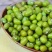绿豆油绿豆缅甸绿豆质优颗粒均匀饱满一手货源一件代发