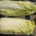 冷库清库处理娃娃菜原包毛菜45-50颗，精加工均可四元