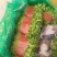 【热销】野菜蔬菜马齿览麻绳菜大量上市产地一手货源