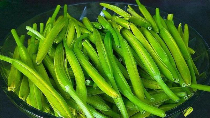 【黄花菜】新鲜黄花菜大量上市产地直供一手货源