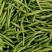 【黄花菜】新鲜黄花菜大量上市产地直供一手货源