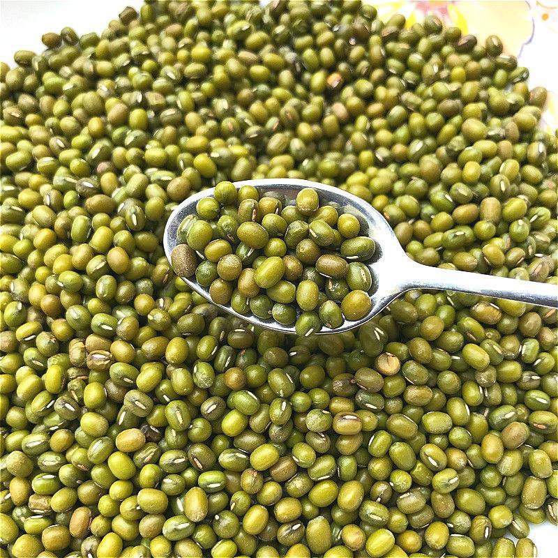 绿豆油绿豆东北绿豆皮薄肉多软糯沙多大颗粒一手货源