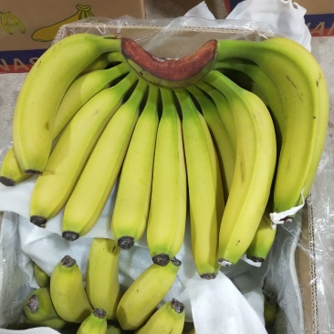 【精选热销】香蕉大量供应各大批发商微商电商