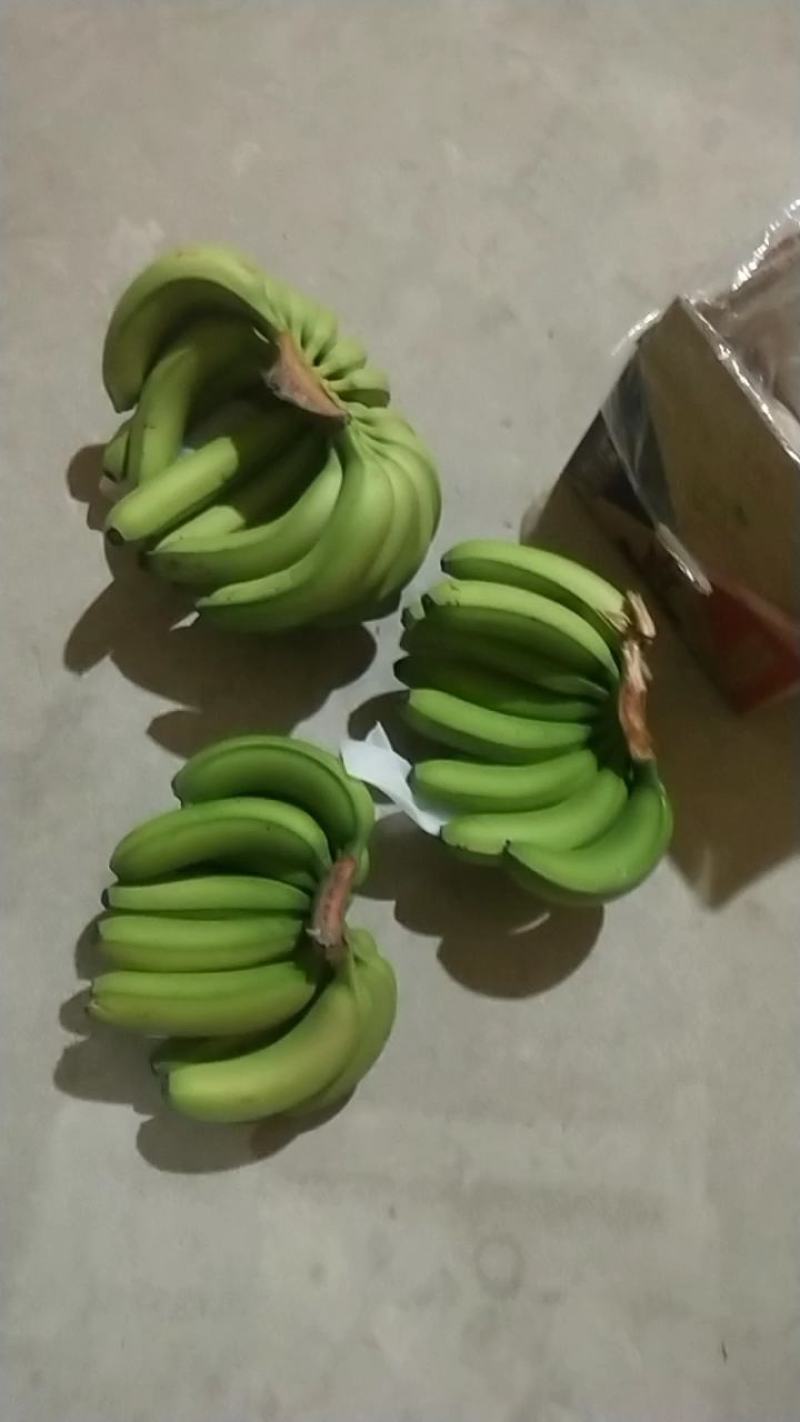 【精选热销】香蕉大量供应各大批发商微商电商