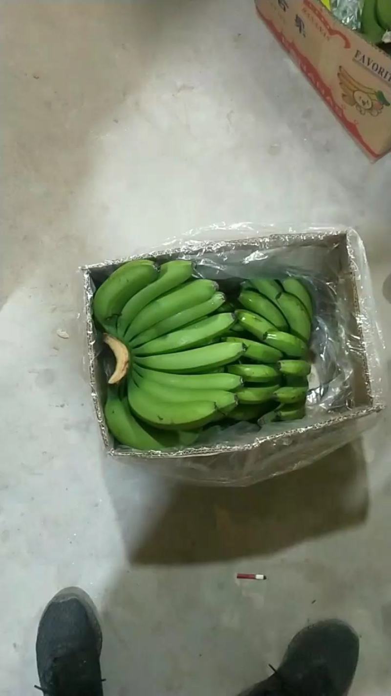 【精选热销】香蕉大量供应各大批发商微商电商