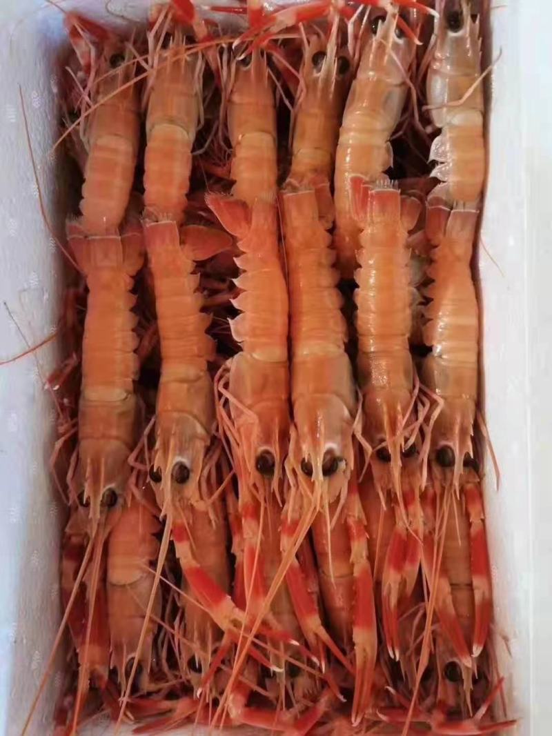 海龙虾，商超，微商，价格超低