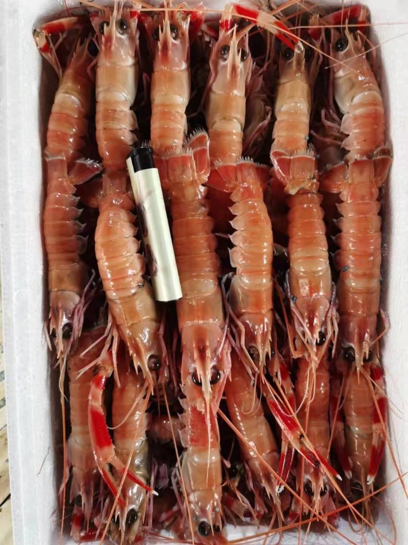 海龙虾，商超，微商，价格超低