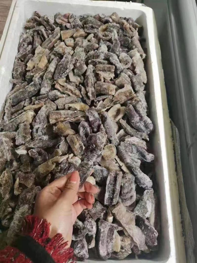 残参，大乌参，厂家直销，证件齐全，大量批发，有量有价