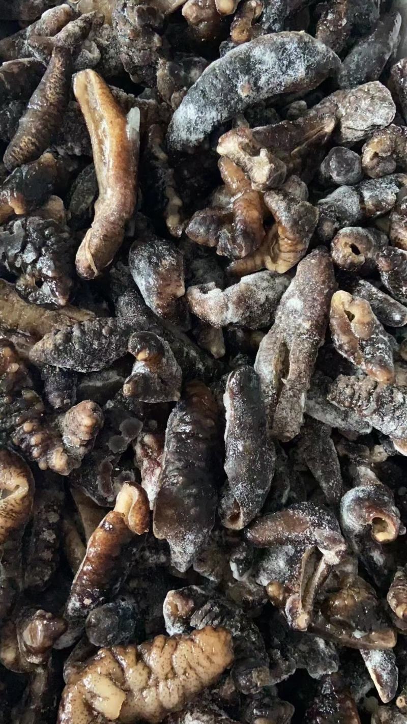 残参，大乌参，厂家直销，证件齐全，大量批发，有量有价