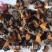 桦树茸,白桦茸,桦褐孔菌,品类齐全,诚信为本