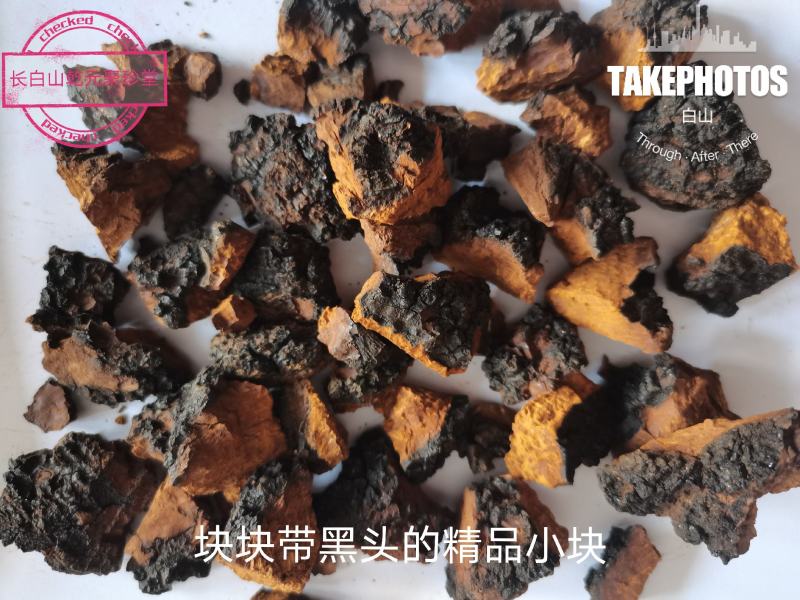 桦树茸，白桦茸，桦褐孔菌，品类齐全，诚信为本
