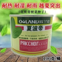 夏波帝青菜种子欧兰德夏波帝青梗菜种子耐湿热越夏