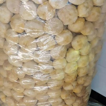 猴头菇猴头菇粉猴头菇大量上市，产地直发，品质保证，