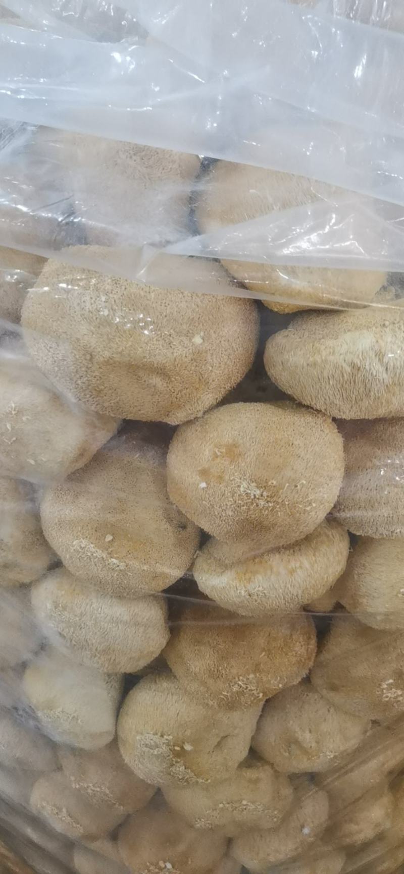 猴头菇猴头菇粉猴头菇大量上市，产地直发，品质保证，